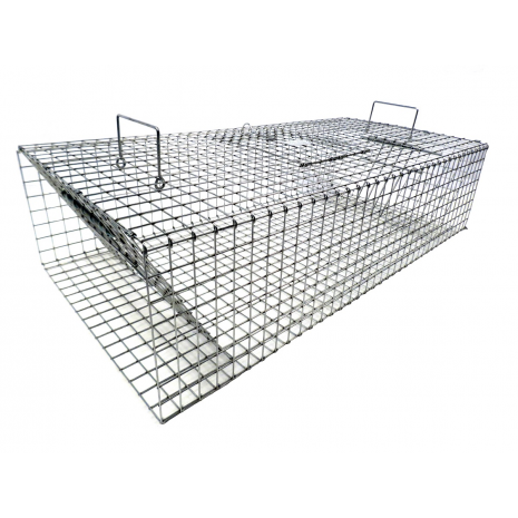 pigeon trap best animal traps