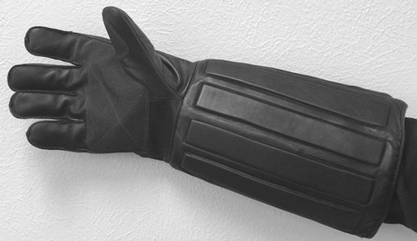 Bit protection glove complete animal handling gloves