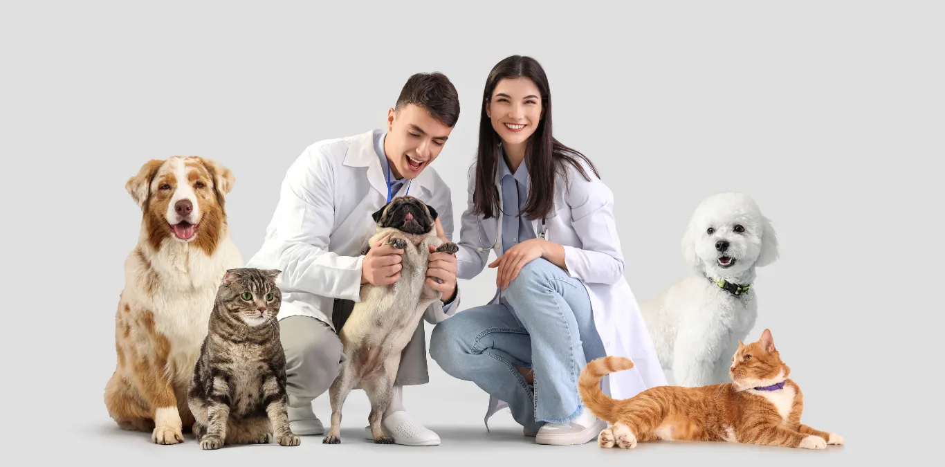 Why Choose ACES for Veterinary Supplies?
