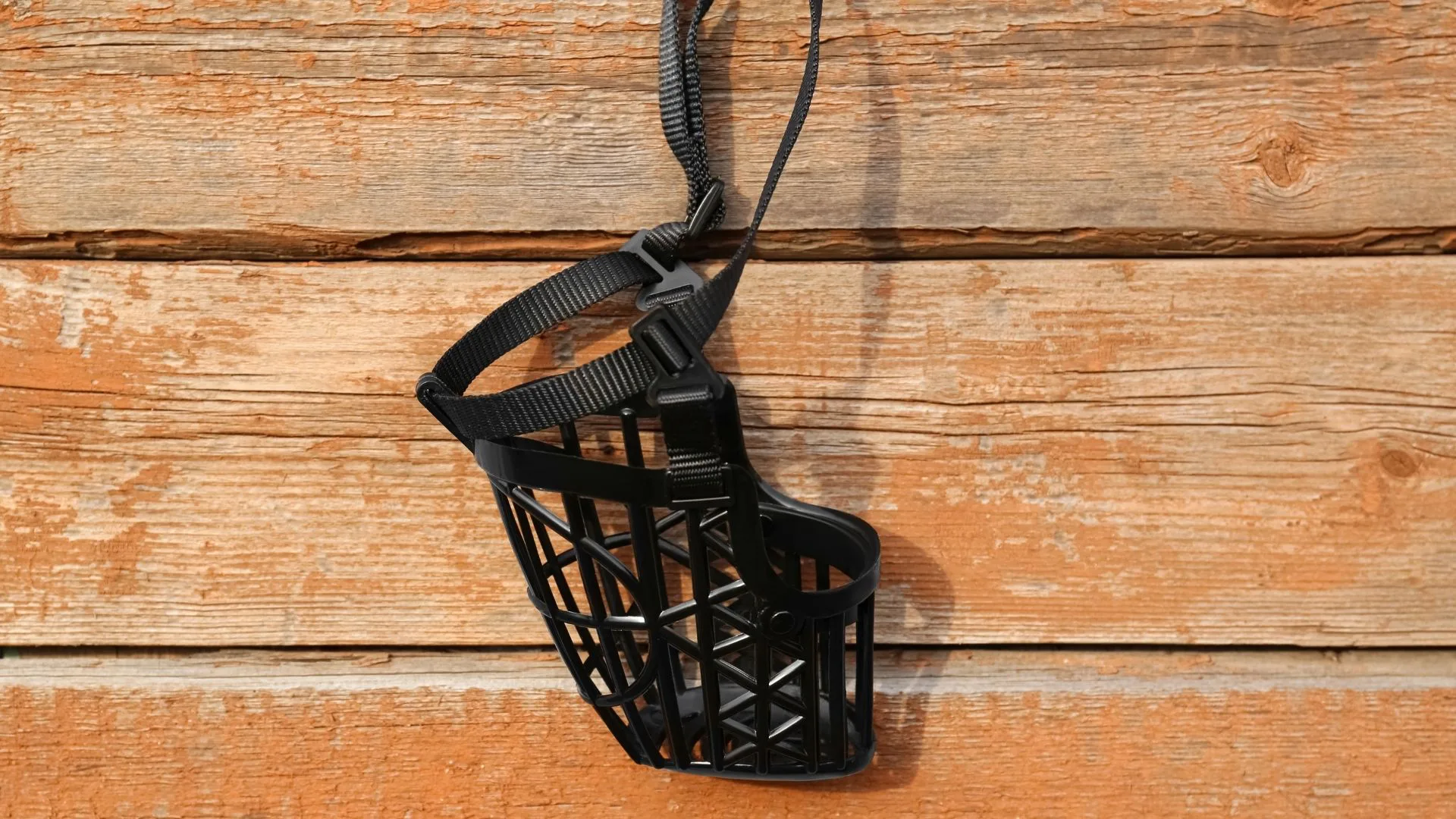 Discover the Best Muzzle in 2024