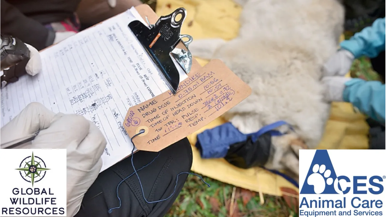 ACES Image For Checkout Page.png