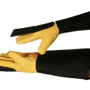 ACESRabiesglove.jpg
