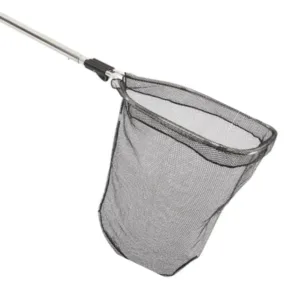 Bat Bird Mammal New Fixed Image