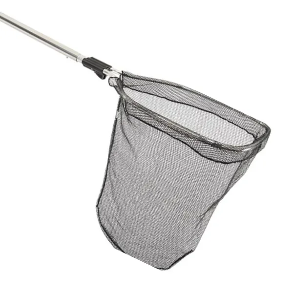 Bat Bird Mammal New Fixed Image