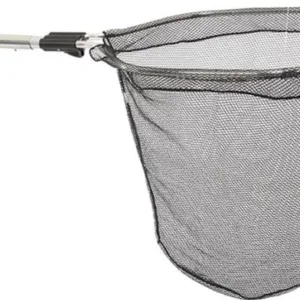 Bat Bird Mammal New Fixed Image.jpg