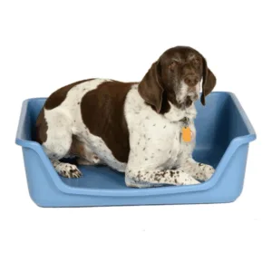 Fabri Form Pet Beds