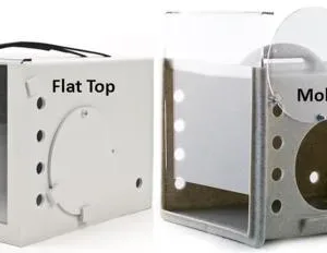 Feral Dens Together.jpg