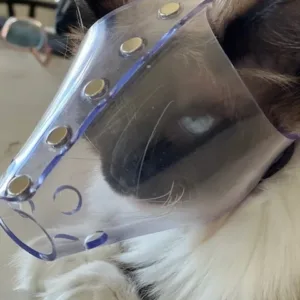 Jafco Cat Muzzle.jpg