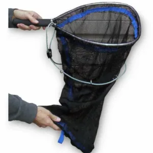 Little Dandy Net.jpg