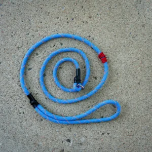 Shelter Tek 1 Scaled 1.jpg