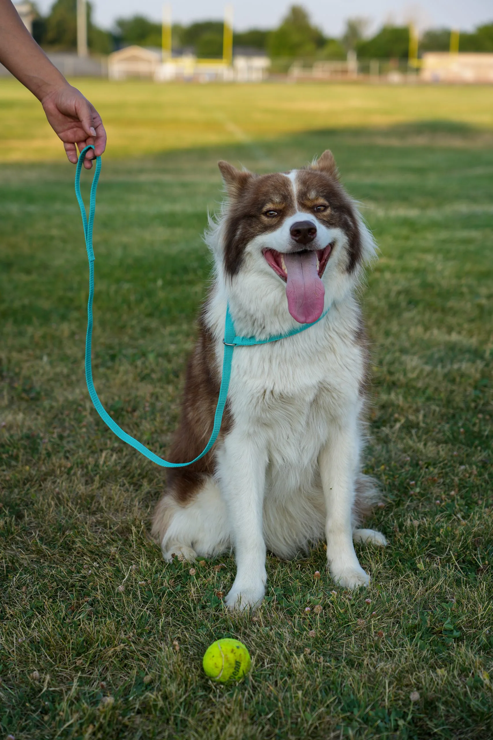 Slip Lead With Shya Scaled 1.jpg