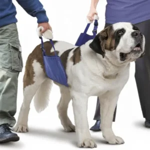 Soft Sling With Dog