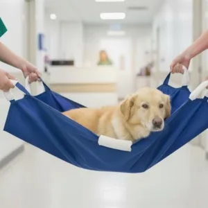 Animal Stretcher With Dog