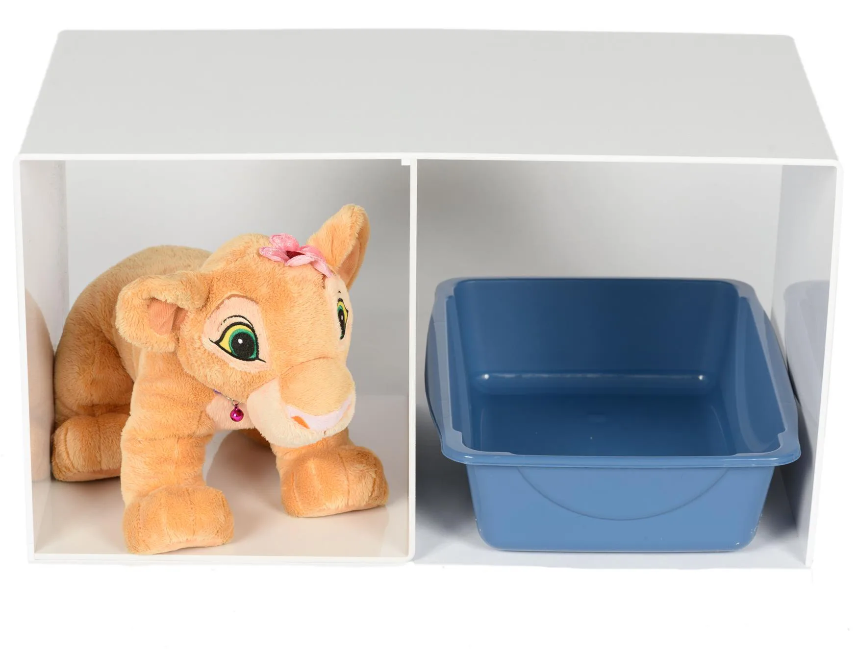 Cat Resting Bench.jpg