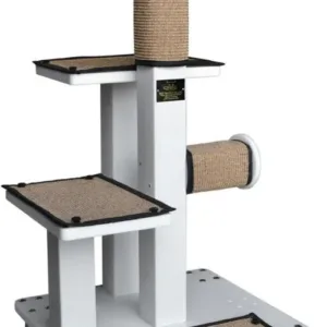 Crijo Adopt Me Solo.jpg