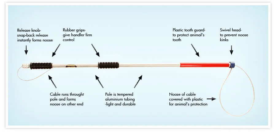 Ketch All How It Works.jpg
