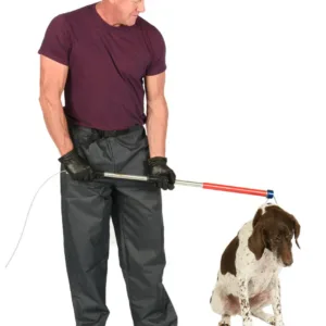 Ketch All With Homer Scaled 1.jpg