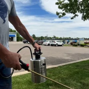 Pump Up Sprayer Outside.jpg