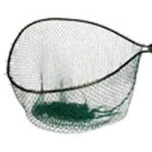 ACESmagnumnet Copy.webp