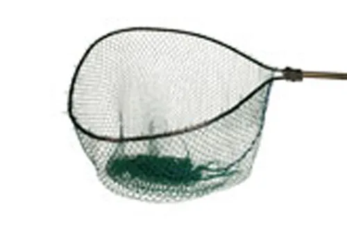 ACESmagnumnet Copy.webp