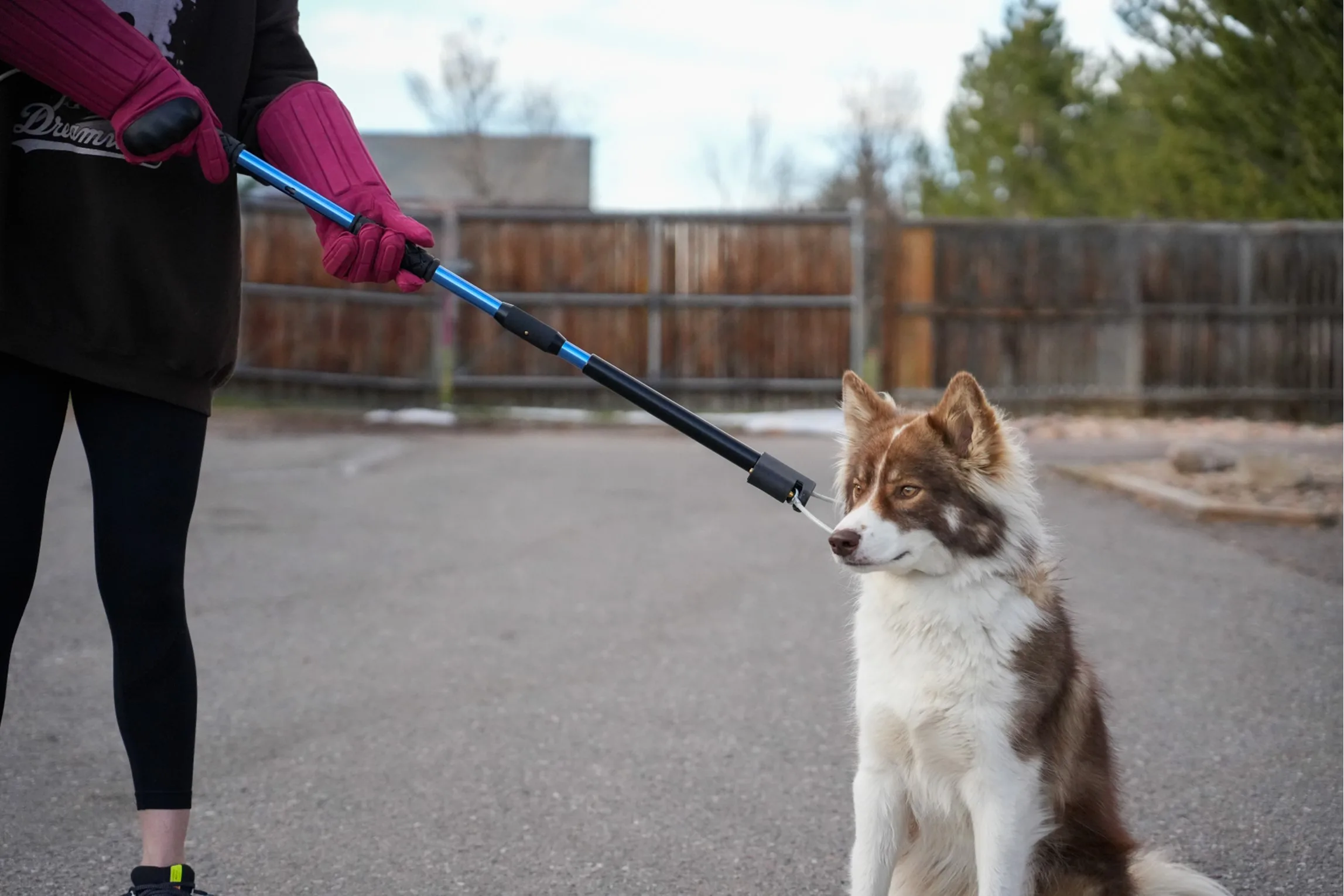ADR Pole With Bite Protection Vegan Gloves.webp