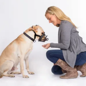 BASKERVILLE Ultra Muzzle Black Treat Feeding.webp