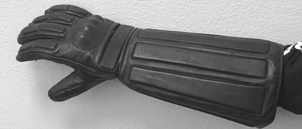 Bite Prot Glove.webp