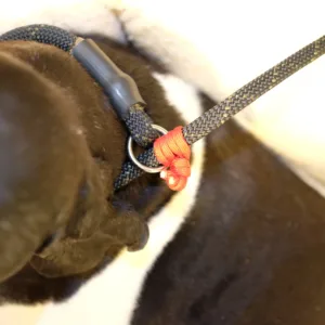 Rescue Tek Core Lock Scaled 1.webp