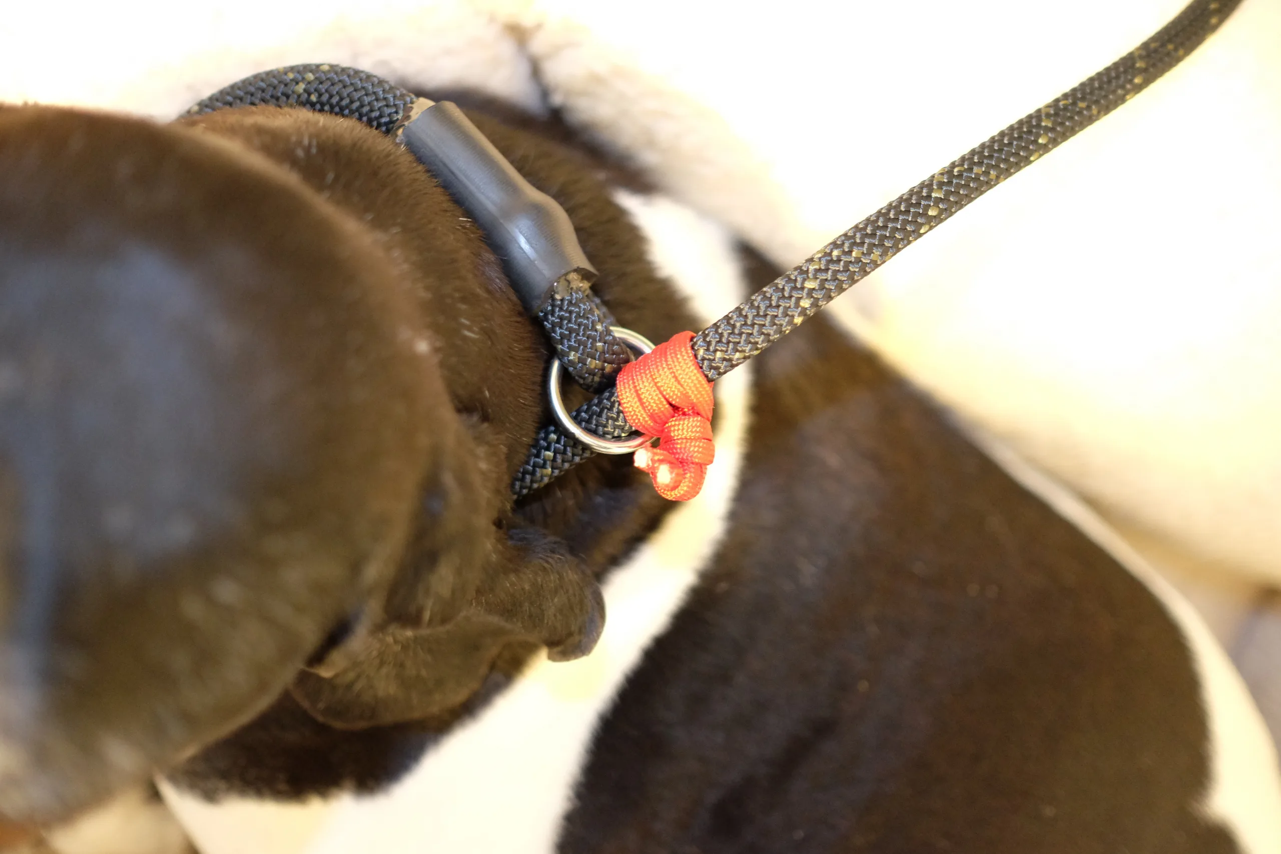 Rescue Tek Core Lock Scaled 1.webp