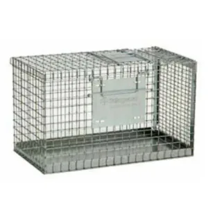 Safeguard Carrier 1.webp