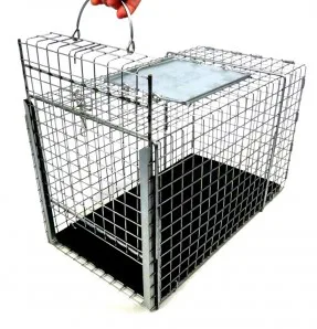 Tomahawk Transfer Cage Door Open.webp