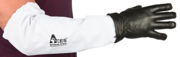 Arm Protector With Duty Glove.webp