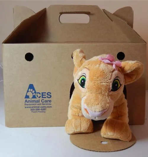 Cat Castle With Cat In It.webp