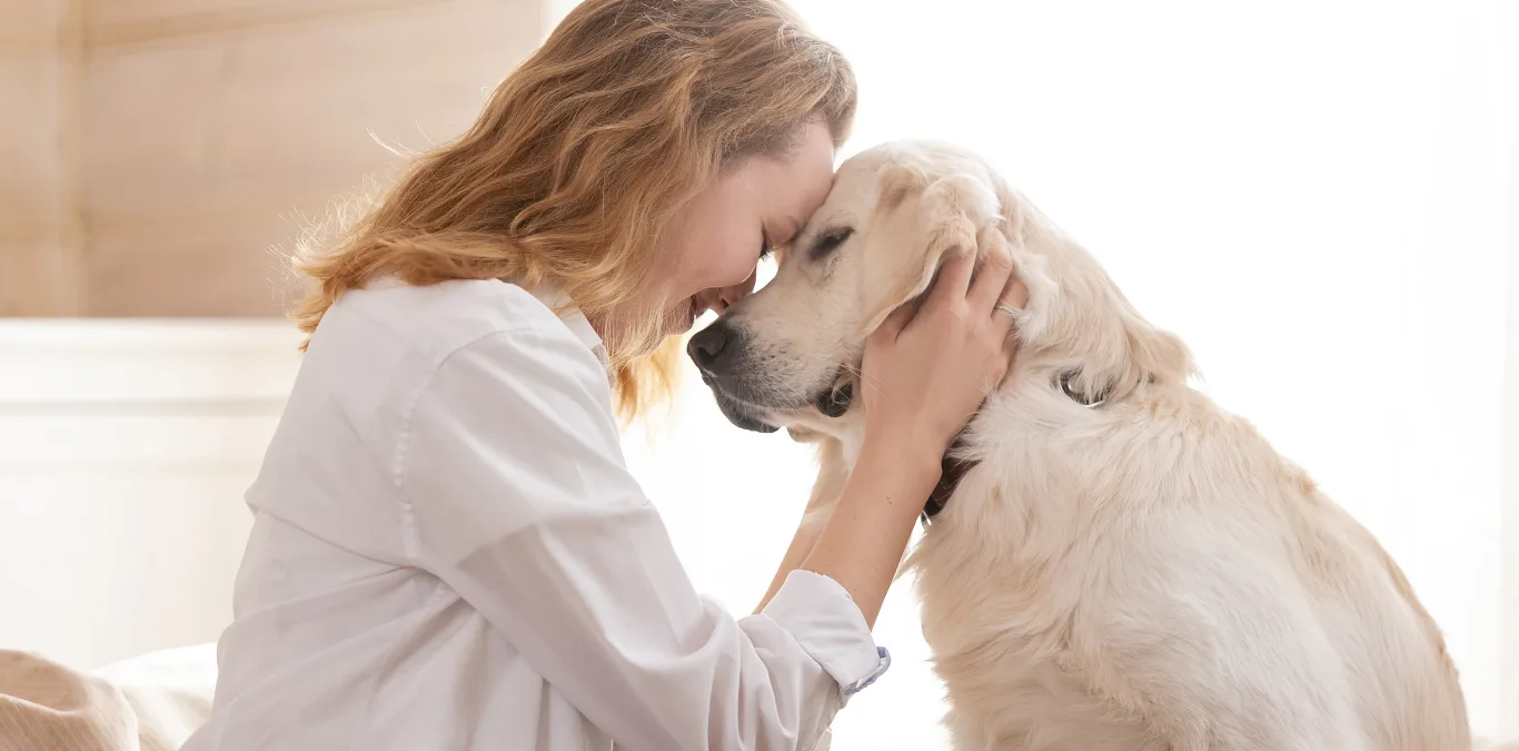 animal handling aftercare- ACES