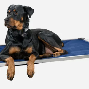 K9 Dog Bed With Dog On Mat