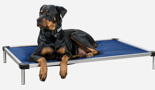 K9 Dog Bed With Dog On Mat