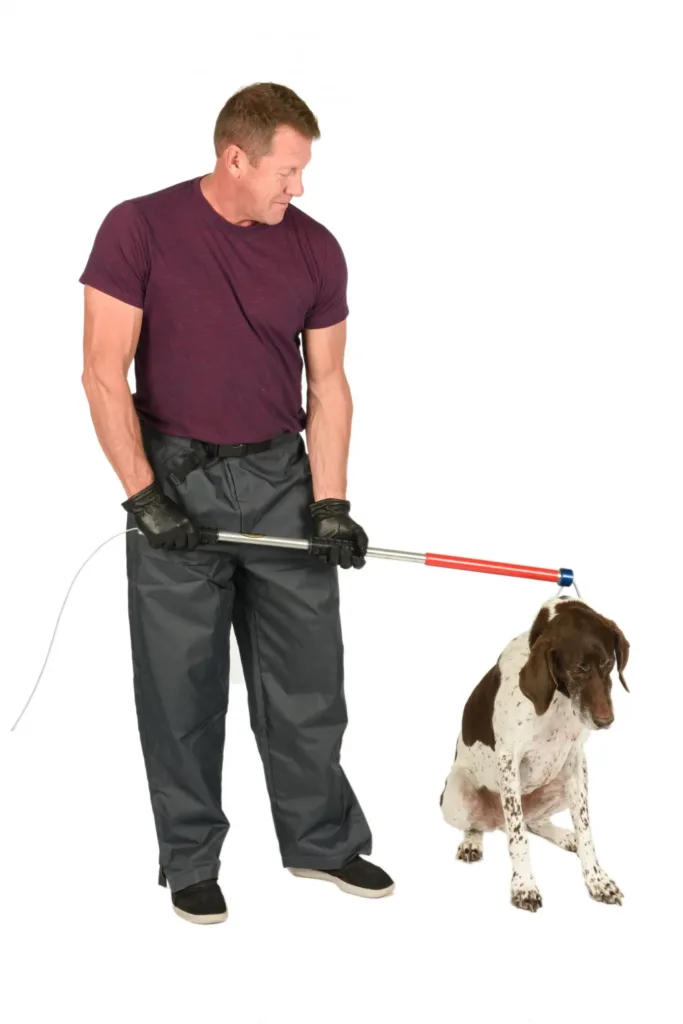 Aces animal restraint- ketch all pole