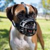 a dog wears a baskerville ultra muzzle