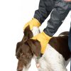 man wearing critter gloves handling dog