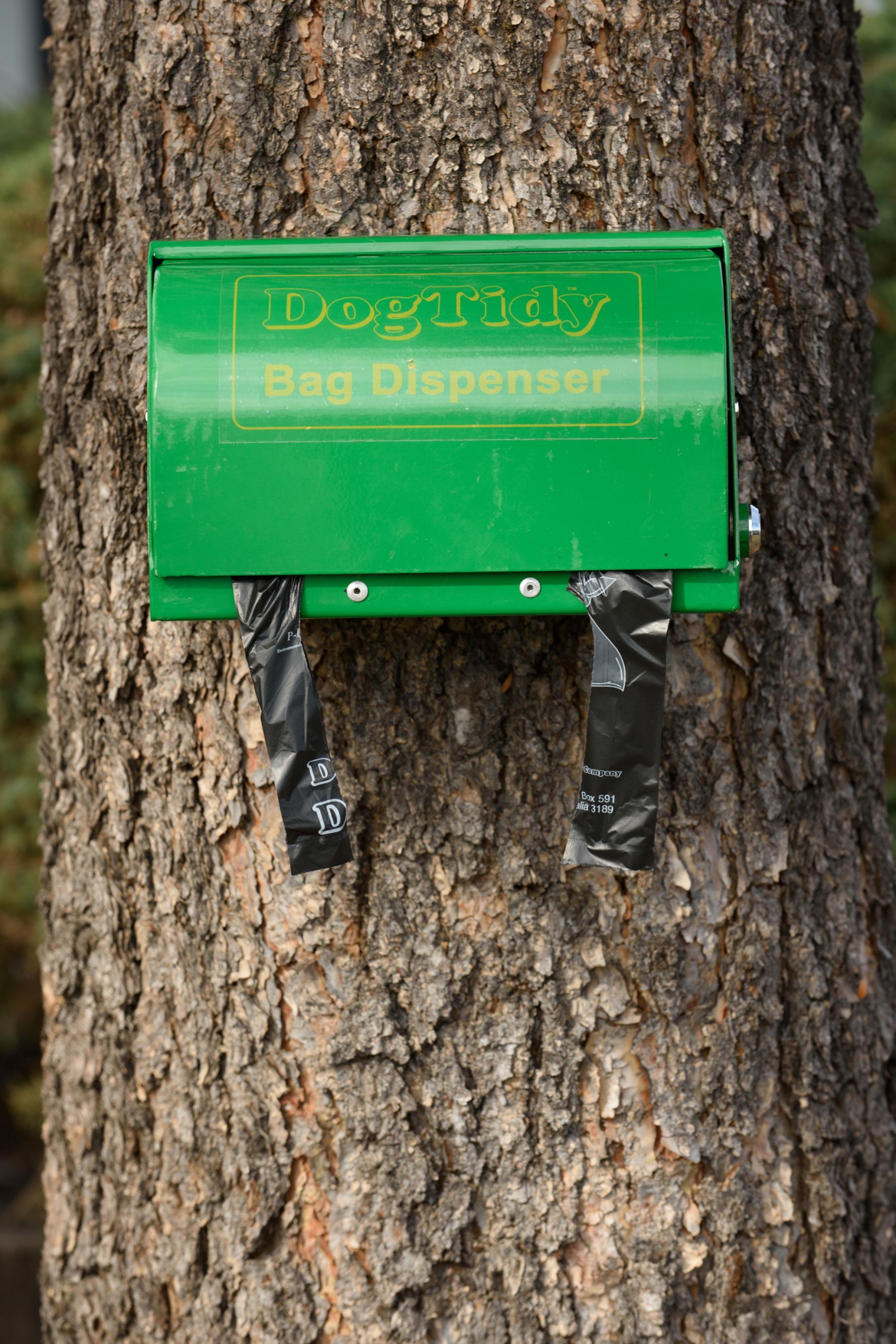 dog tidy dispenser affixed to tree