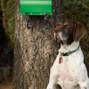 dog tidy bag dispenser affixed to tree with dog in front