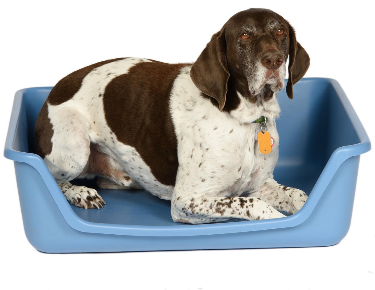 fabri form pet bed with dog laying down inside