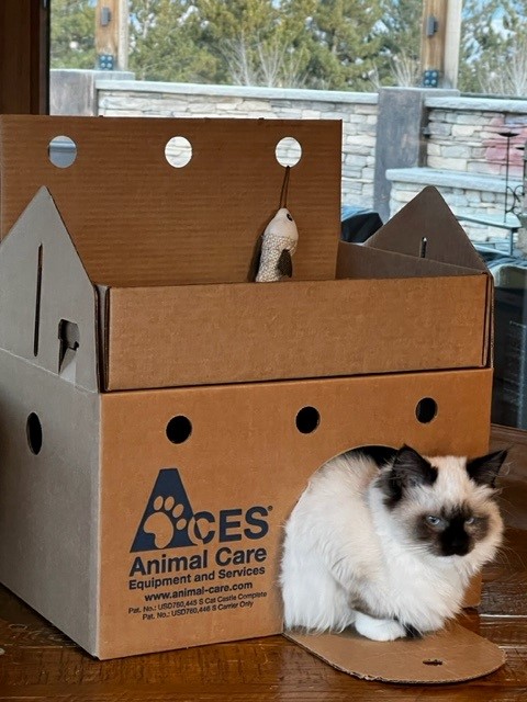 Humaniac™ Cat Castle Cardboard Cat Houses