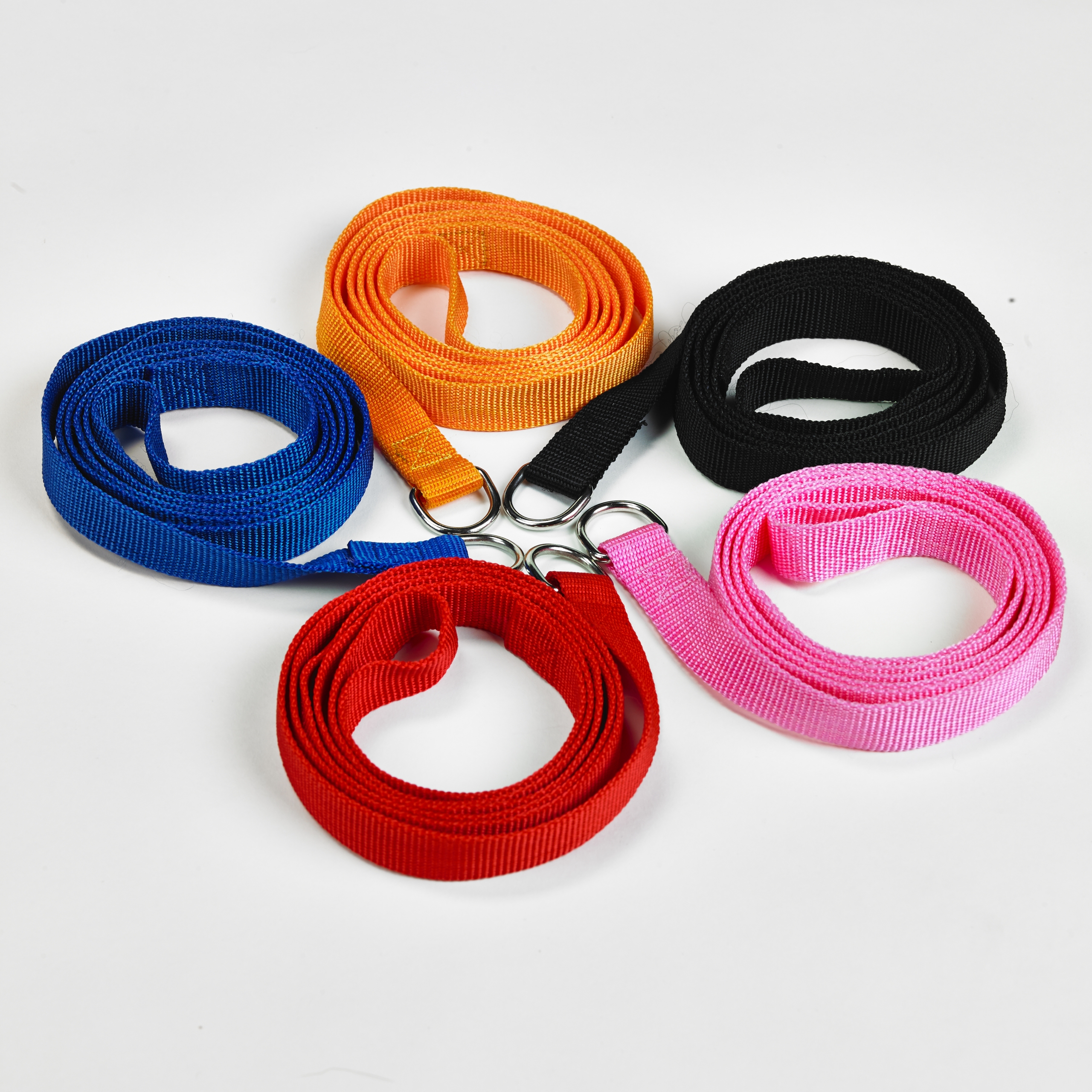 five leashes of different colors, red pink blue orange and black