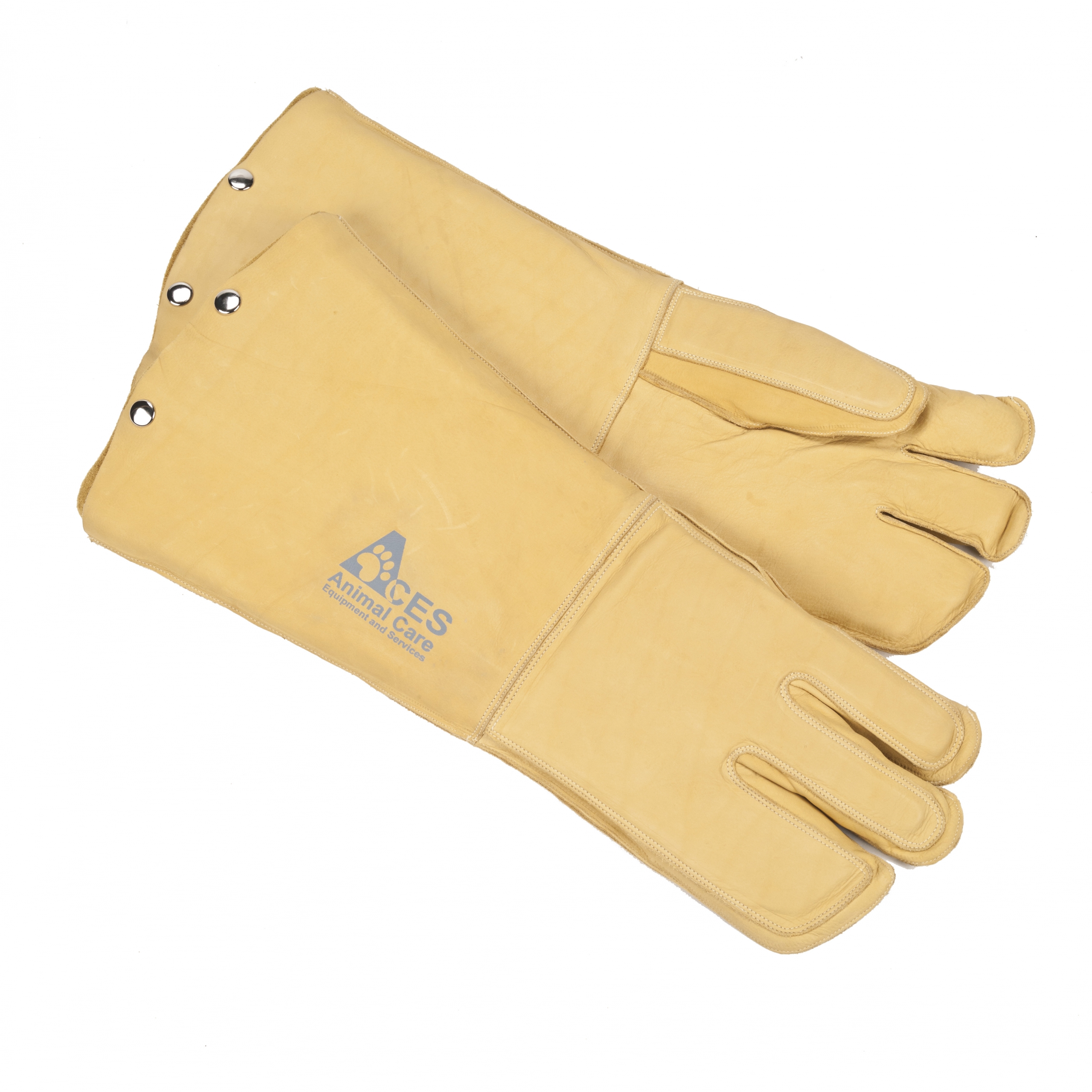 maxima gloves