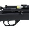 model 178bs dart gun loaded