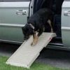 pet stamp ramp