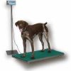 deluxe platform scale with floor stand and dog standing atop floor stand