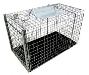 Transfer Cage