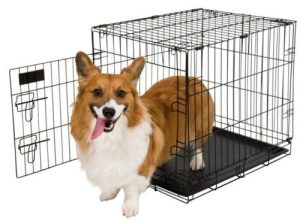 folding dog kennel erected with dog inside